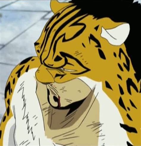 The Leopard Rob Lucci Face | Anime Fairy Blog