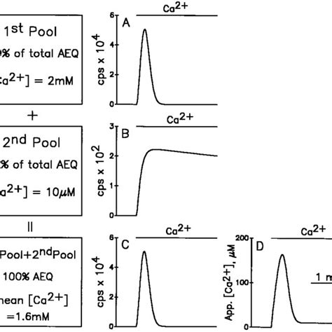 Relationship between the drop in aequorin luminescence induced by ...