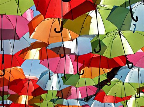 Umbrella Art Installation by Ivotavares Studio