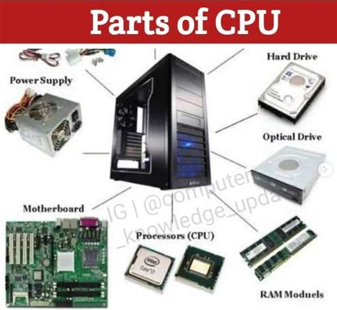 Parts of cpu – Artofit