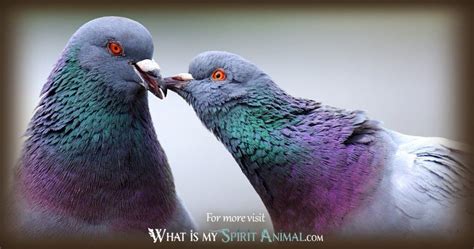 Pigeon Symbolism & Meaning | Spirit, Totem & Power Animal