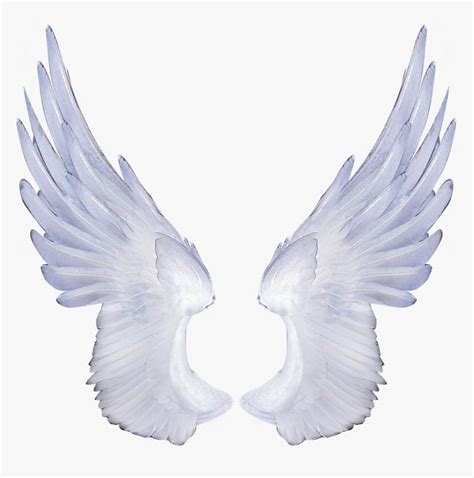 Free Angel Wings Transparent Background - Angel Transparent Background ...