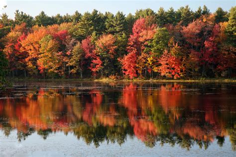 Tips for Shooting Fall Foliage and Autumn Scenes | Northrup.Photo