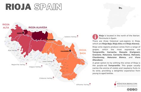 Your 2022 guide to Rioja wine region | Winetourism.com