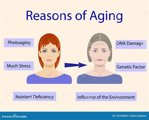 Causes of Aging, Vector Illustration with Two Faces Stock Vector ...