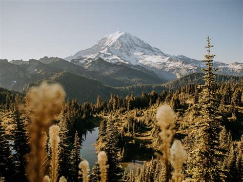 Mount Rainier Sunrise (OC) [5779x4334] : r/EarthPorn