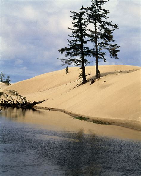 Sand Dunes Spinreel Campground Oregon Coast photo