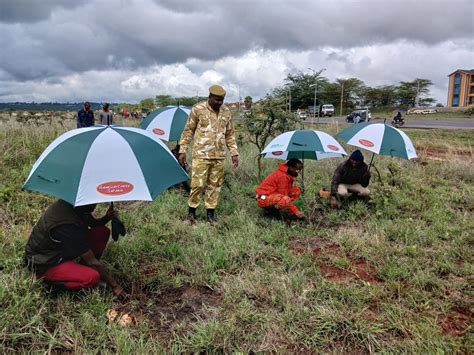 National Tree Planting Day in Kenya!