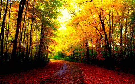 Beautiful Autumn Wallpapers - Wallpaper Cave