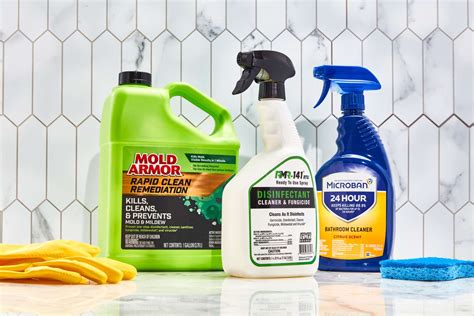 Mold Removal Products: An Essential Tool for Healthy Homes - Somnusthera