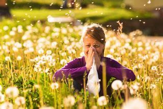 7 Mistakes People with Seasonal Allergy Can Avoid | Live Science