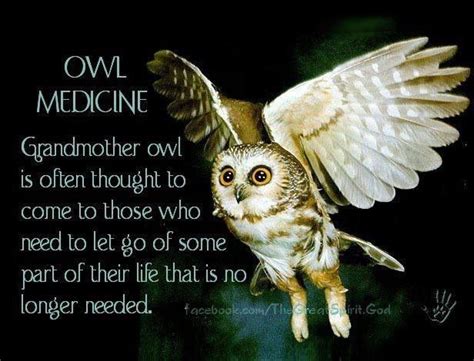 Night Owl Quotes. QuotesGram