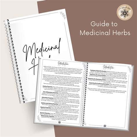 Printable Herbal Medicine Guide: A4 PDF on Medicinal Herbs, Herbal ...