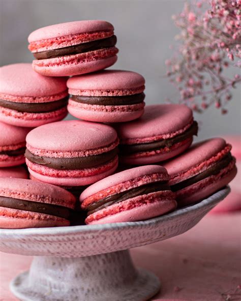 Award Winning Macarons Recipe : French Macarons State Fair Recipes Blue ...