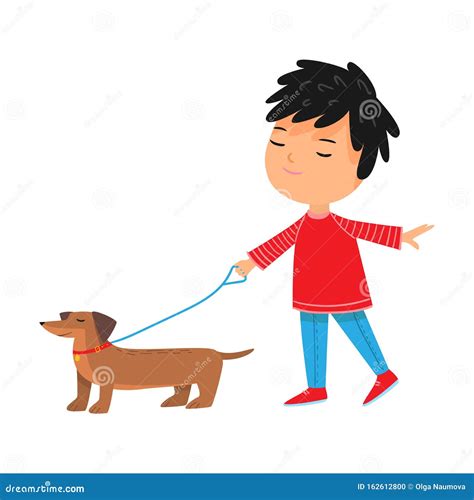 Boy Walking His Brown Dachshund Dog With Lish Vector Illustration Stock