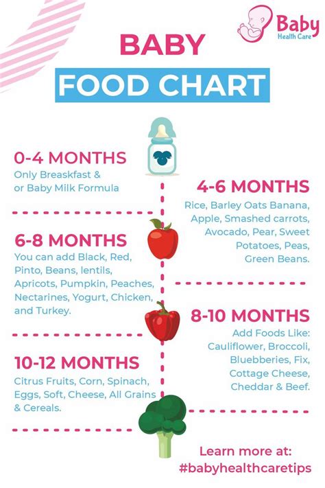 Baby Food Guide, Baby Food Recipes, Baby First Foods, Baby Foods, Baby ...