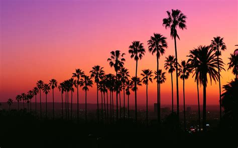 Los Angeles Sunset Wallpapers - 4k, HD Los Angeles Sunset Backgrounds ...