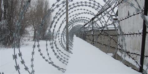 Beatings, Torture, and Rape: Inside the Notorious ‘Polar Wolf’ Prison ...