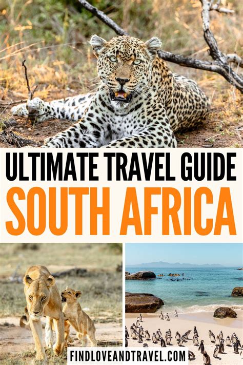 South Africa Travel Guide: Plan the Ultimate Trip - Find Love and Travel