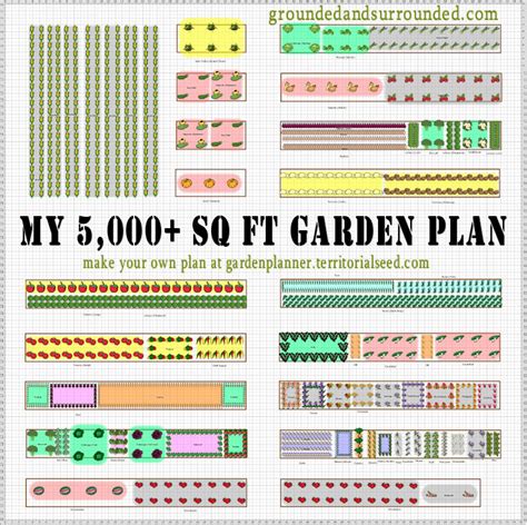 Vegetable Garden Layout