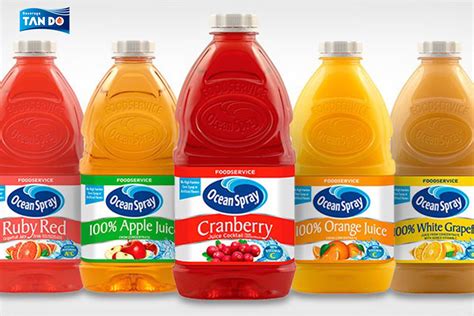 Top 9 Most Popular Orange Juice Brands in the Market (2023) - Tan Do