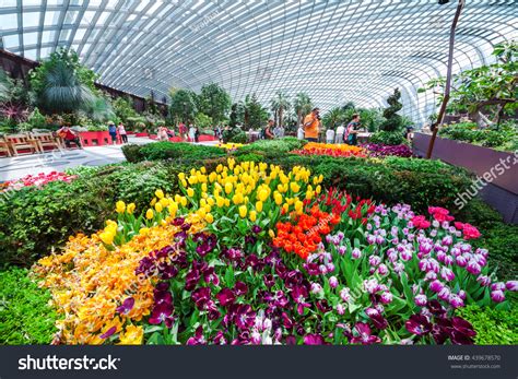 10,957 Flower Dome Singapore Images, Stock Photos & Vectors | Shutterstock