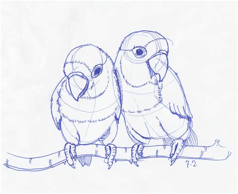 Pencil Drawing Pictures Of Birds at GetDrawings | Free download