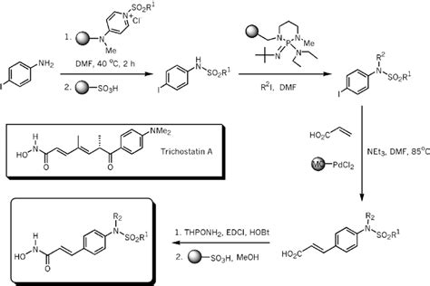 Synthesis of histone deacetylase inhibitors. | Download Scientific Diagram