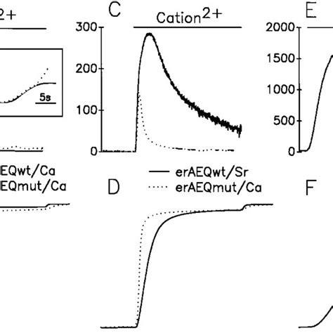 Relationship between the drop in aequorin luminescence induced by ...