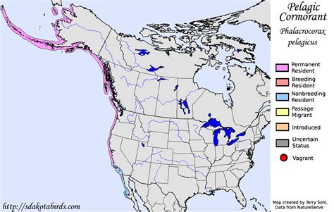 Pelagic Cormorant - Species Range Map