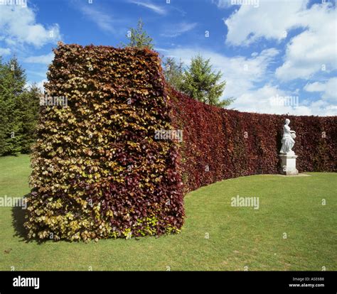 Anglesey abbey gardens statues hi-res stock photography and images - Alamy