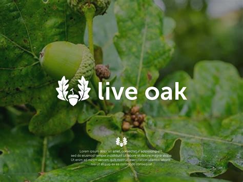 live oak logo by wishthesky_std on Dribbble