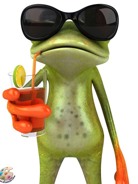 Funny Frog Wallpapers - Top Free Funny Frog Backgrounds - WallpaperAccess