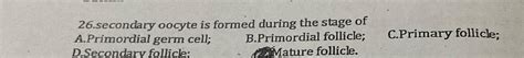 Solved 26.secondary oocyte is formed during the stage ofA. | Chegg.com
