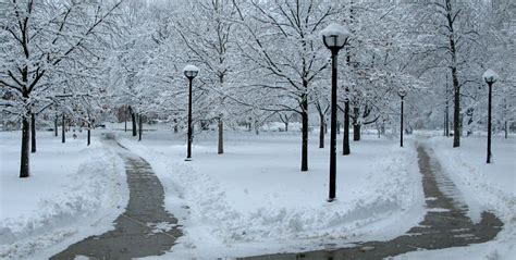 Winter in Ann Arbor, Michigan photo on Sunsurfer