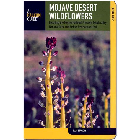 A Falcon Guide: Mojave Desert Wildflowers – Death Valley Natural ...