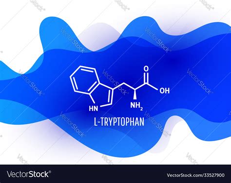 Tryptophan skeletal formula and structure Vector Image