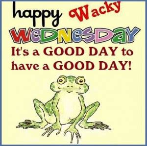 Wacky Wednesday Quotes. QuotesGram