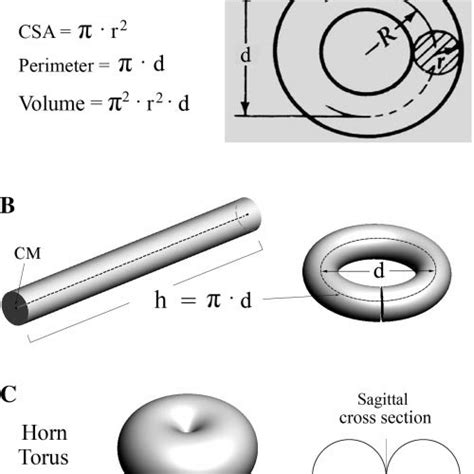 Sagittal view of a lens showing its total cross-sectional surface area ...