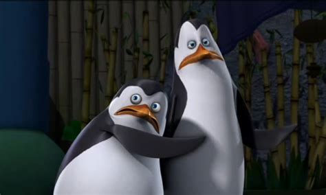 Kowalski & Private - Penguins of Madagascar Photo (30139475) - Fanpop