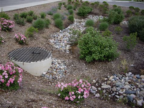 Detention Basin for Stormwater Management | Elements Studio