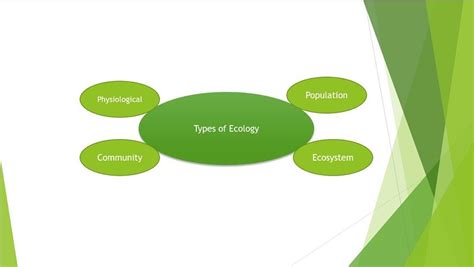 Types of Ecology, Its Branches & Classification