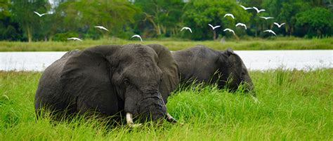 Lake Malawi National Park Holiday & Vacations | Amity Adventure & Tours