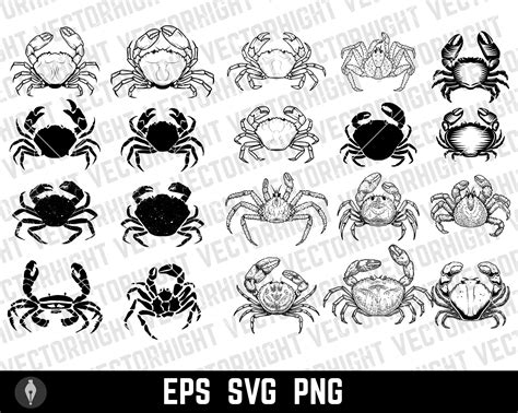 Crab Bundle Svg, Sea Crab Silhouette Png, Crab Clipart, Crab Cricut Cut ...