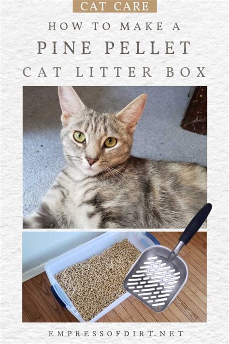 DIY Sifting Cat Litter Box Using Low-Cost Pine Pellets