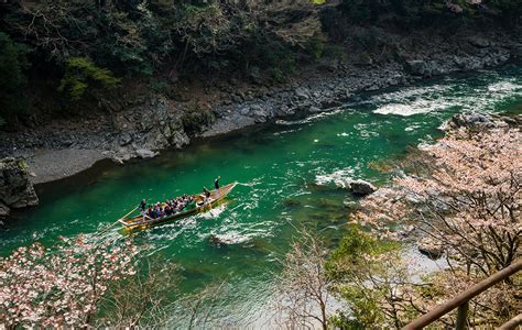 Sagano Scenic Railway: Our Ride Aboard Kyoto's Romantic Train - Travel ...