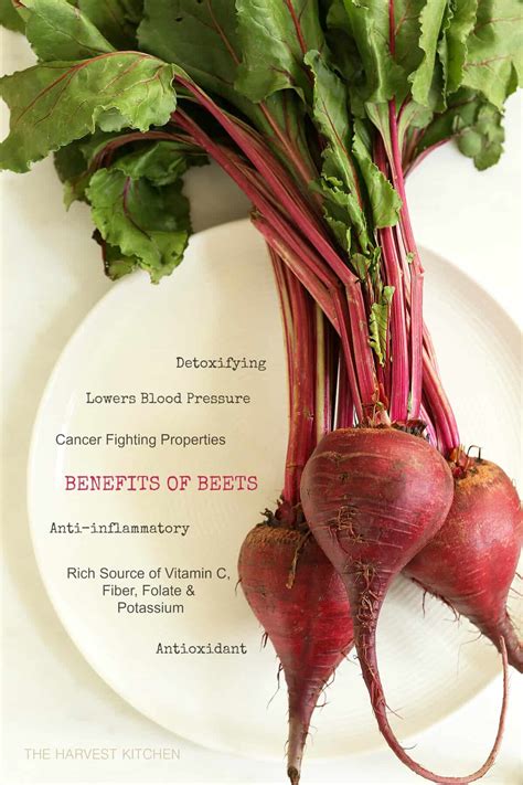 Ruby Queen Beet Seeds For Planting SurvivalGardenSeeds | lupon.gov.ph