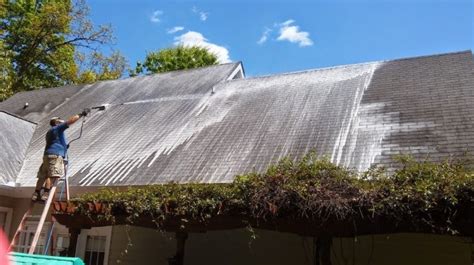 Soft Washing for Roof Moss Removal & Cleaning - Mayfair Building Services