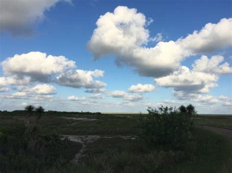 Best Hikes and Trails in Laguna Atascosa National Wildlife Refuge ...