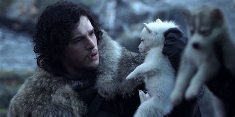 Game Of Thrones: The Fates Of The Stark Direwolves Explained : r ...